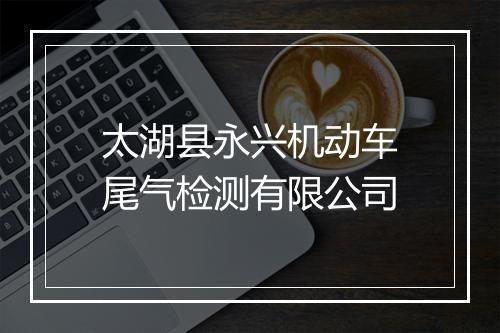 太湖县永兴机动车尾气检测有限公司