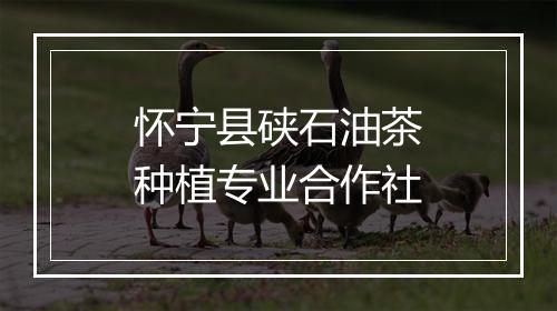 怀宁县硖石油茶种植专业合作社
