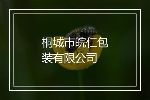 桐城市皖仁包装有限公司