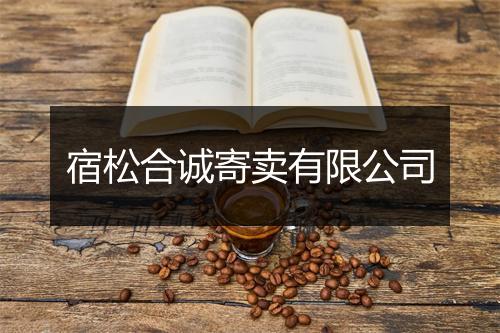 宿松合诚寄卖有限公司