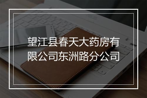 望江县春天大药房有限公司东洲路分公司