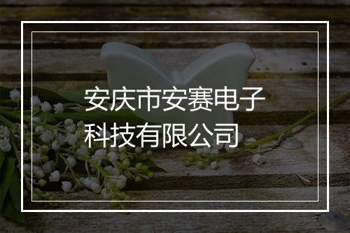 安庆市安赛电子科技有限公司