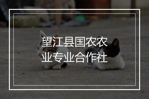 望江县国农农业专业合作社