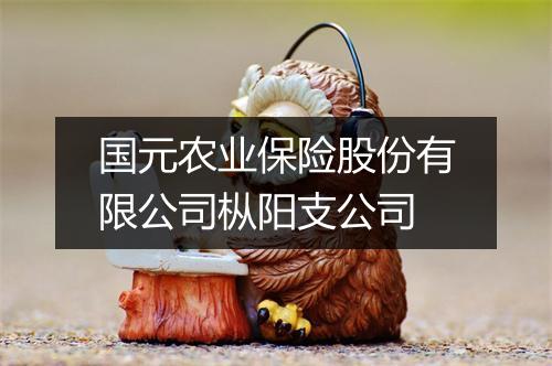 国元农业保险股份有限公司枞阳支公司