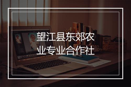 望江县东郊农业专业合作社
