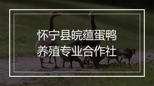 怀宁县皖蕴蛋鸭养殖专业合作社