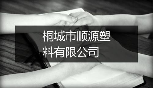 桐城市顺源塑料有限公司