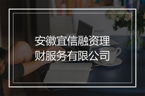 安徽宜信融资理财服务有限公司