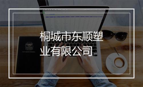 桐城市东顺塑业有限公司