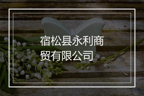 宿松县永利商贸有限公司