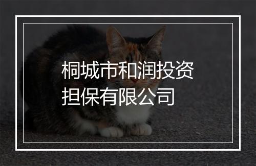 桐城市和润投资担保有限公司