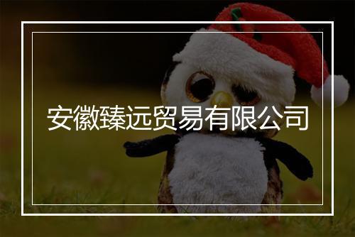 安徽臻远贸易有限公司
