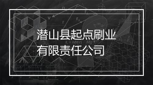 潜山县起点刷业有限责任公司