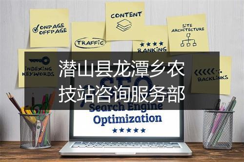 潜山县龙潭乡农技站咨询服务部