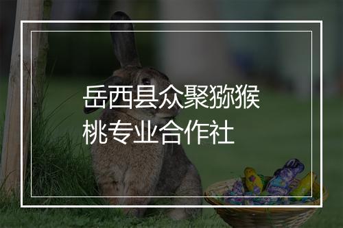岳西县众聚猕猴桃专业合作社