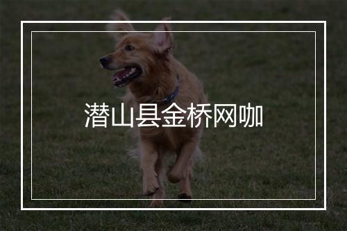 潜山县金桥网咖
