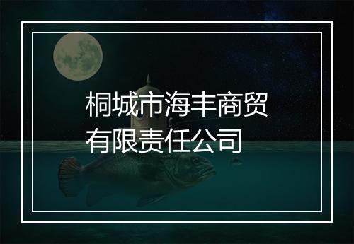 桐城市海丰商贸有限责任公司