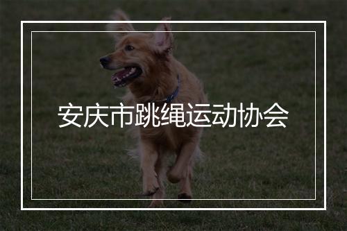 安庆市跳绳运动协会