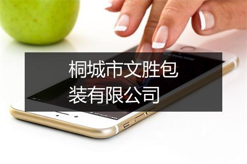 桐城市文胜包装有限公司
