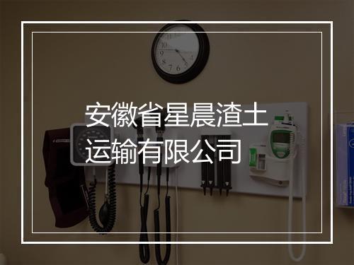 安徽省星晨渣土运输有限公司