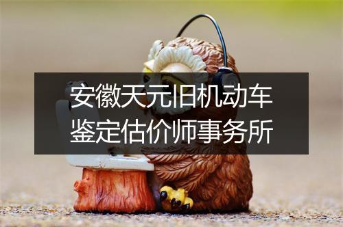 安徽天元旧机动车鉴定估价师事务所