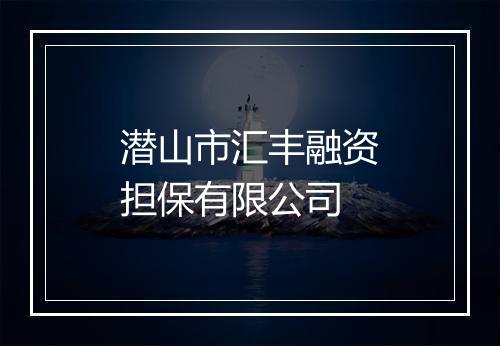 潜山市汇丰融资担保有限公司