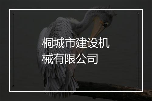 桐城市建设机械有限公司