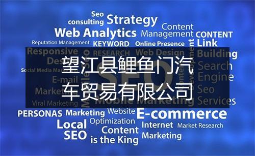望江县鲤鱼门汽车贸易有限公司