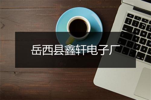 岳西县鑫轩电子厂