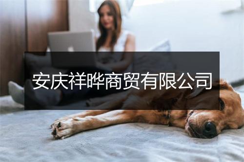 安庆祥晔商贸有限公司