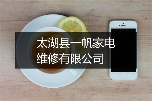 太湖县一帆家电维修有限公司