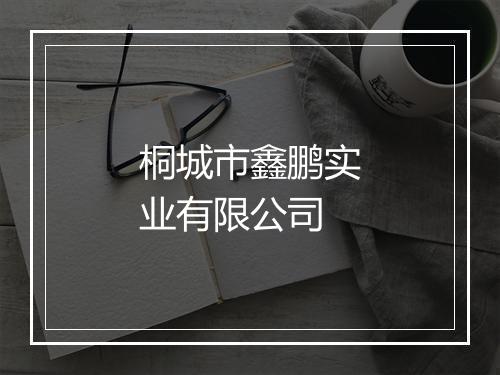 桐城市鑫鹏实业有限公司