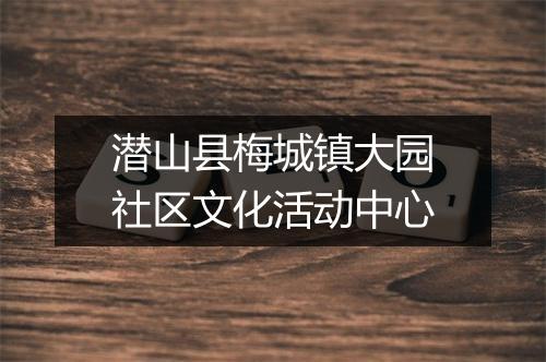 潜山县梅城镇大园社区文化活动中心