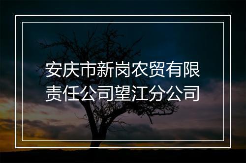 安庆市新岗农贸有限责任公司望江分公司