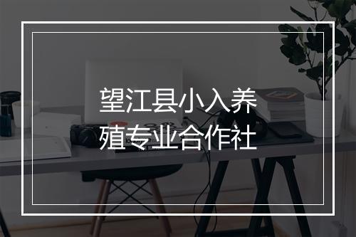 望江县小入养殖专业合作社