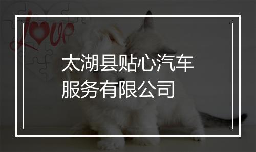 太湖县贴心汽车服务有限公司