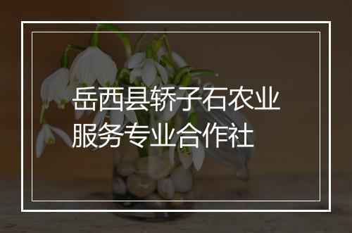 岳西县轿子石农业服务专业合作社