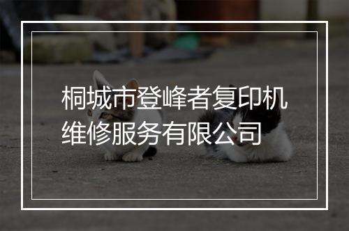 桐城市登峰者复印机维修服务有限公司