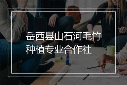 岳西县山石河毛竹种植专业合作社