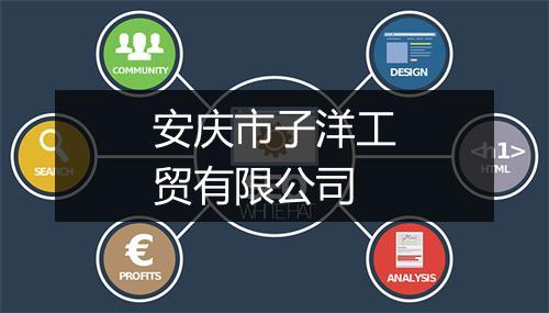 安庆市子洋工贸有限公司