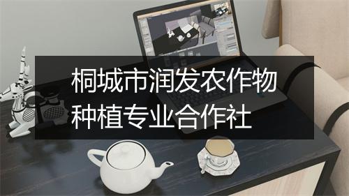 桐城市润发农作物种植专业合作社