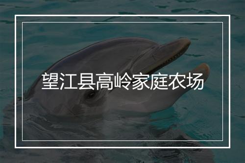 望江县高岭家庭农场
