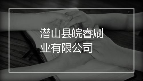 潜山县皖睿刷业有限公司