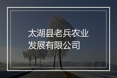 太湖县老兵农业发展有限公司