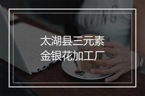 太湖县三元素金银花加工厂