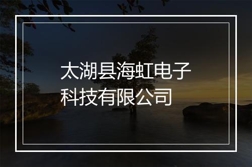 太湖县海虹电子科技有限公司