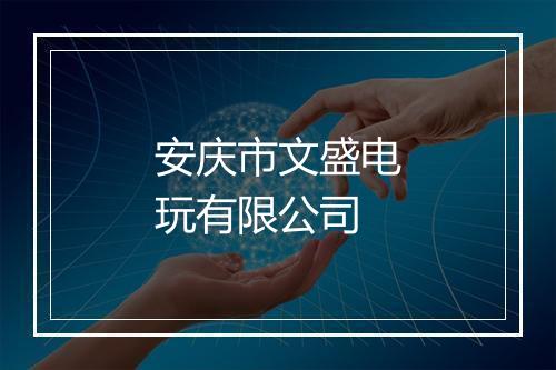 安庆市文盛电玩有限公司
