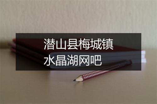 潜山县梅城镇水晶湖网吧