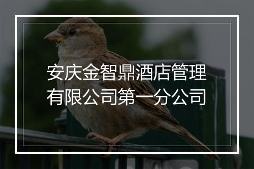 安庆金智鼎酒店管理有限公司第一分公司