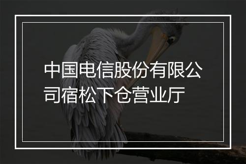 中国电信股份有限公司宿松下仓营业厅